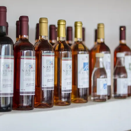 Natura In Naxos Villa *