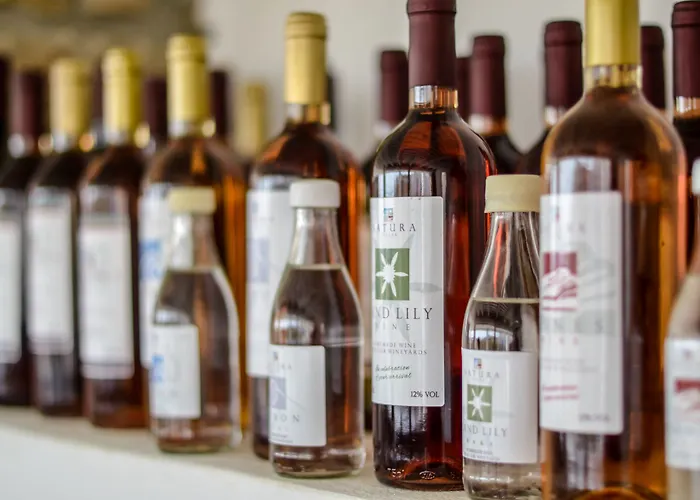 Natura In Naxos Βίλα *