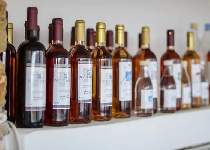 Natura In Naxos Βίλα *