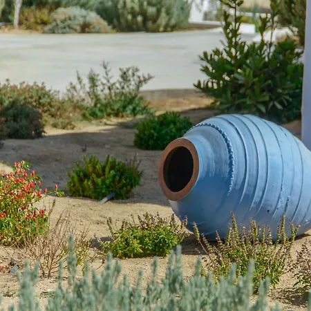 Natura In Naxos וילה מיקרי ויגלה