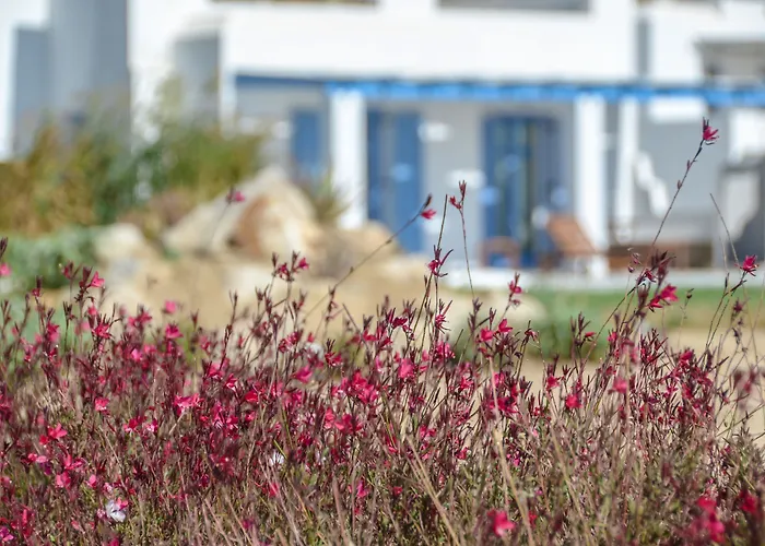 فيلة Natura In Naxos